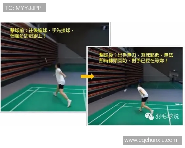 西安羽毛球队区域防守分析与战术调整探讨